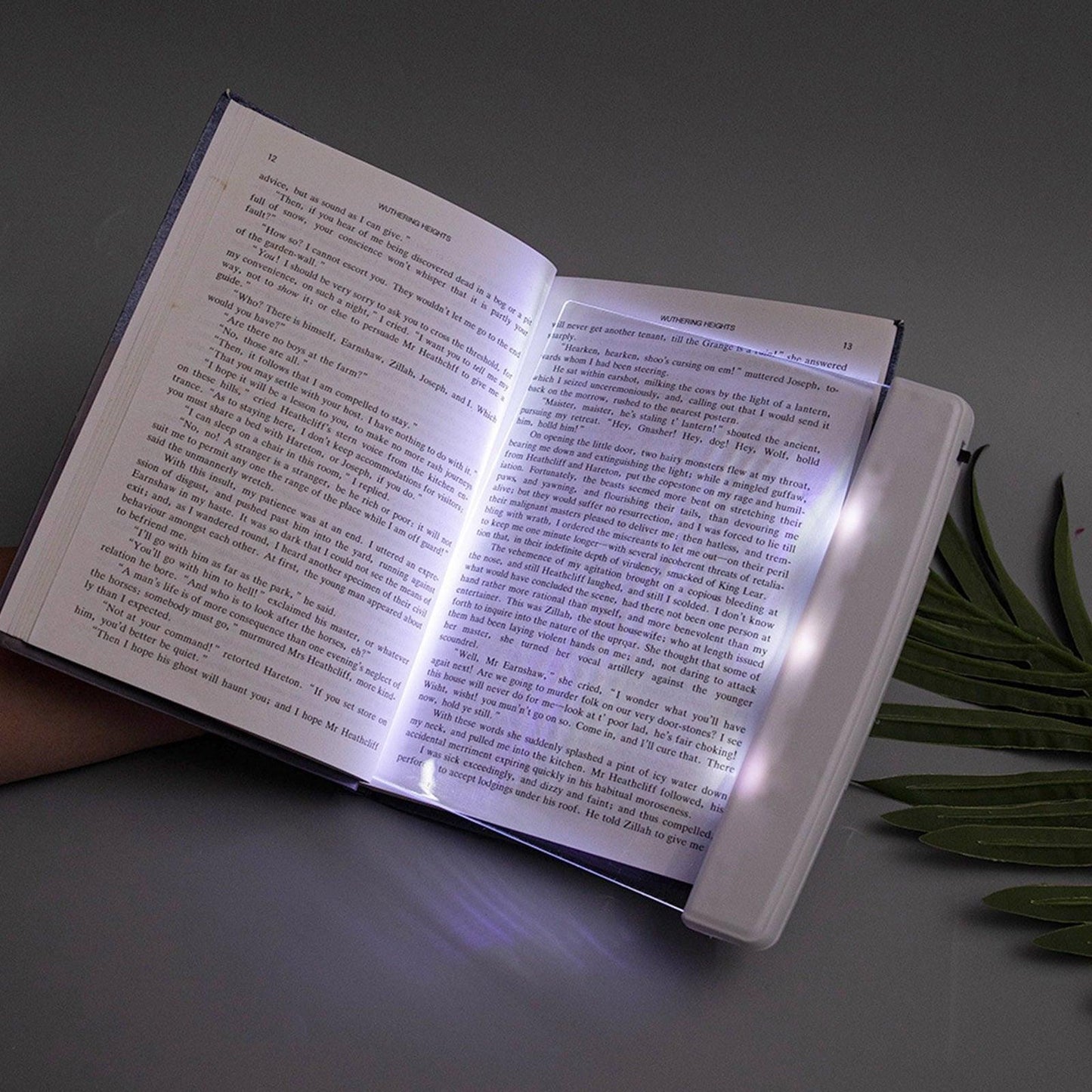 Flat Board Reading Light - Light Grace