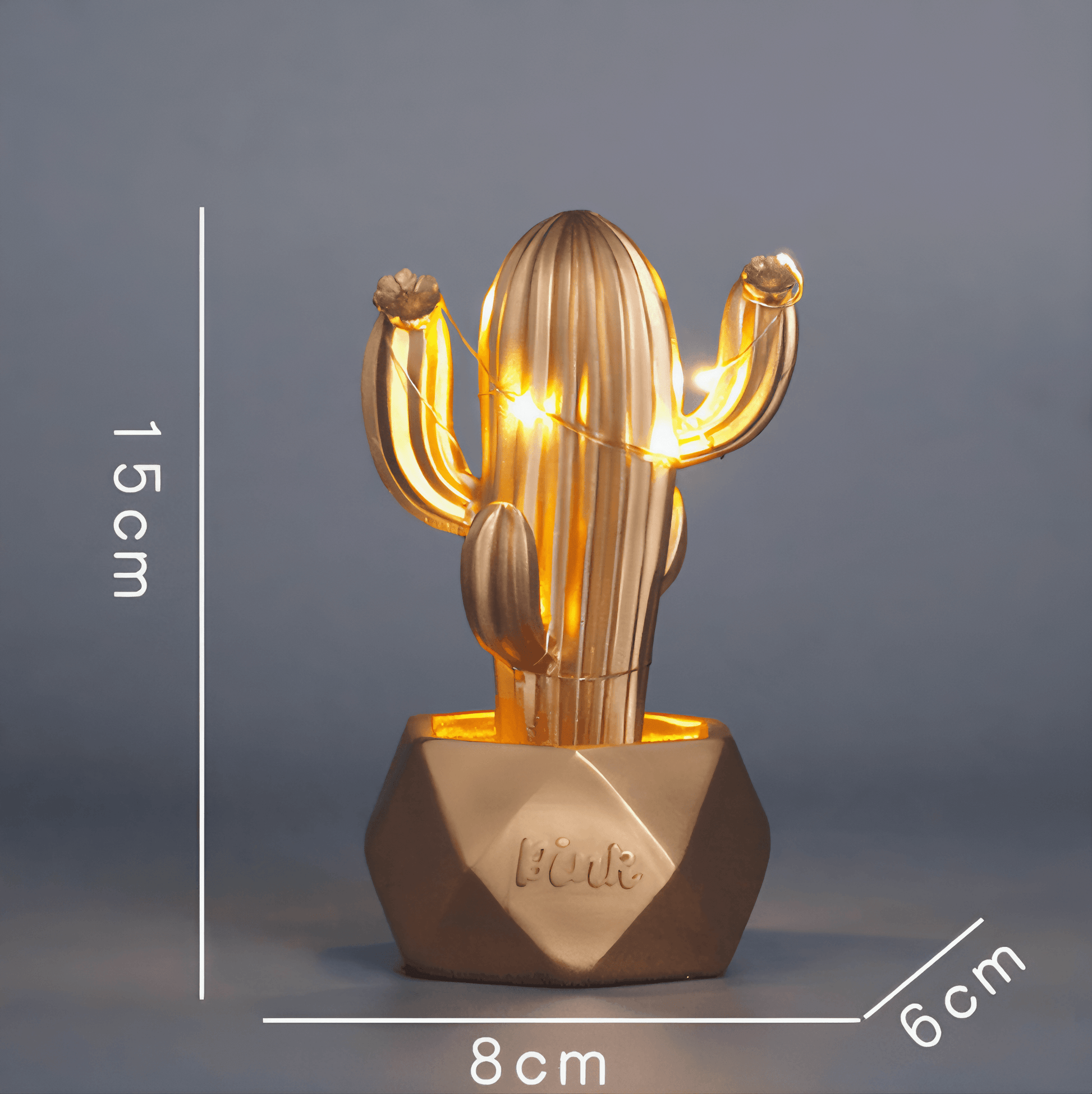 Lightgrace Mini Cactus Night Lamps