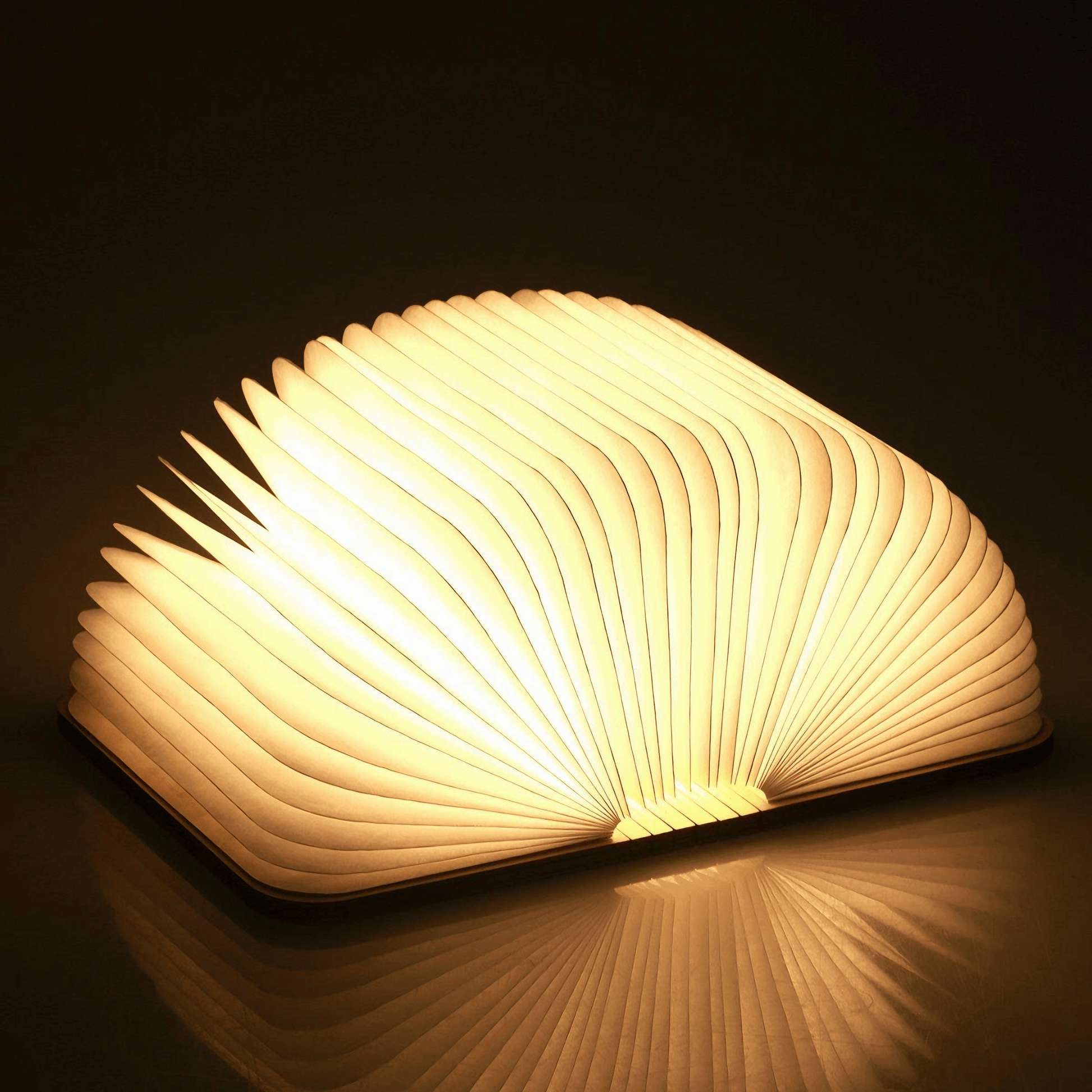 Lightgrace Wooden Folding Book Lamp