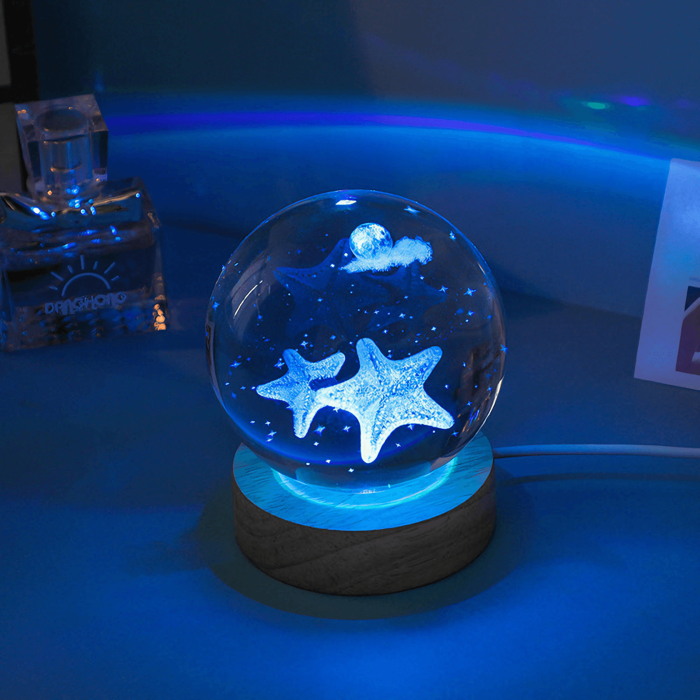 cute Underwater Life Crystal Ball Lamps - Dolphin from Light grace