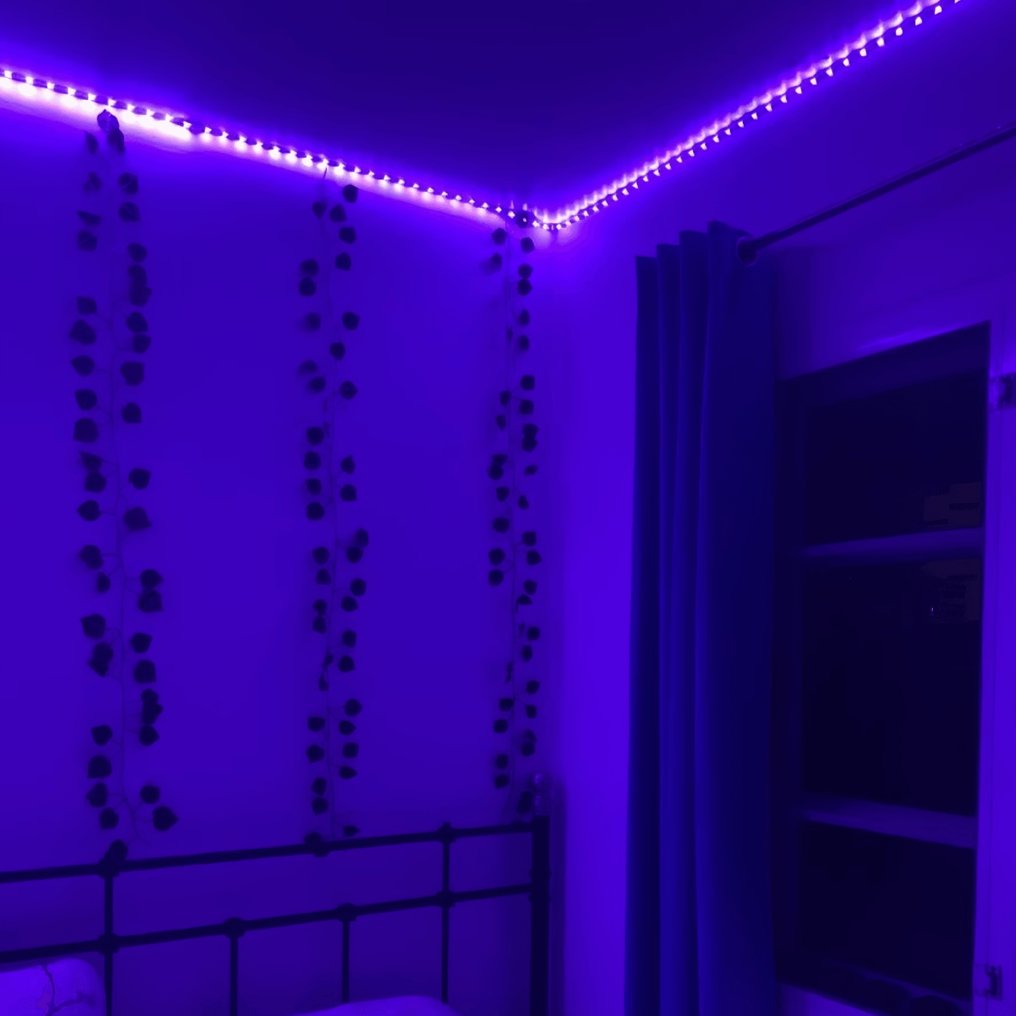 Light grace Led Strip Light in bedroom