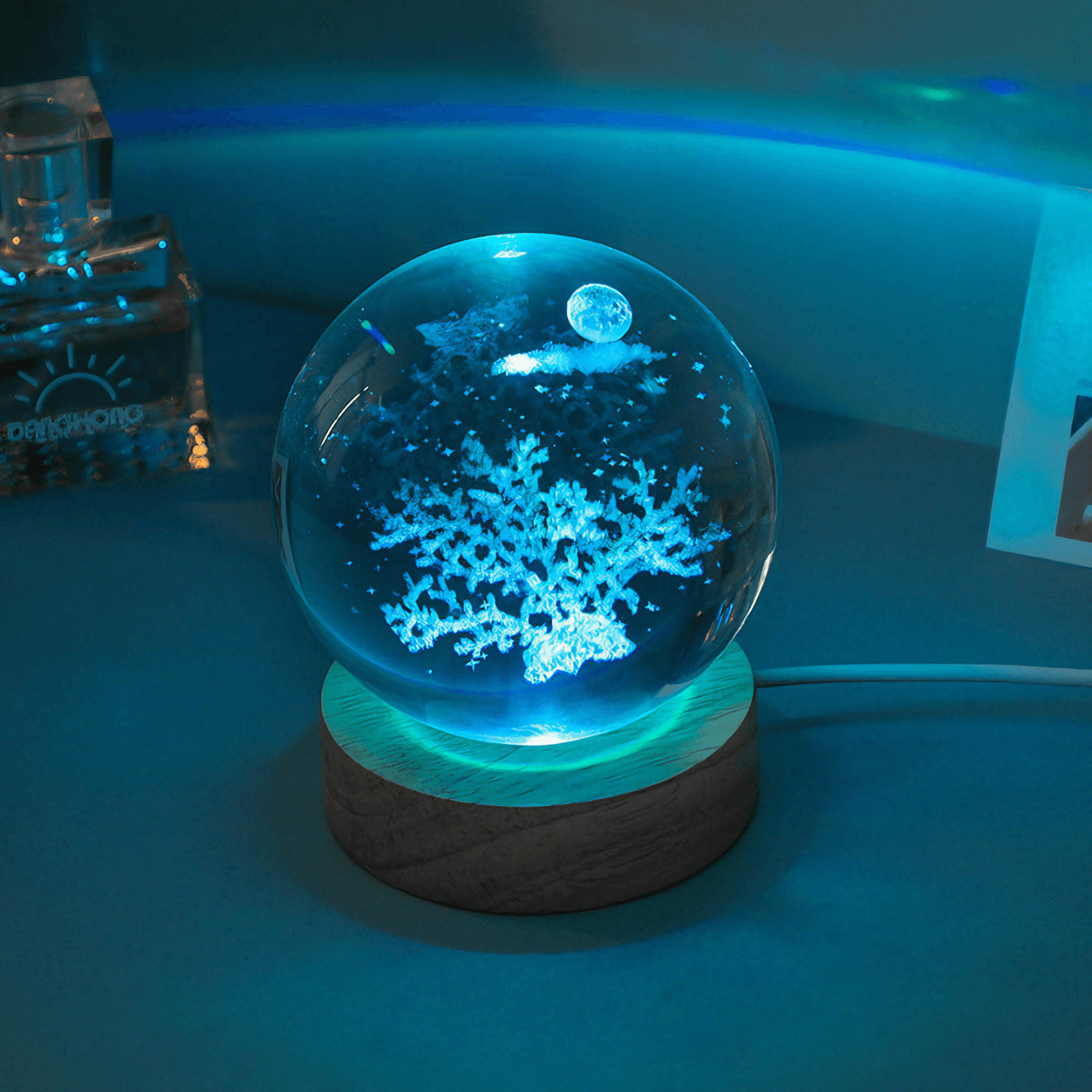 cute Underwater Life Crystal Ball Lamps - Dolphin from Light grace
