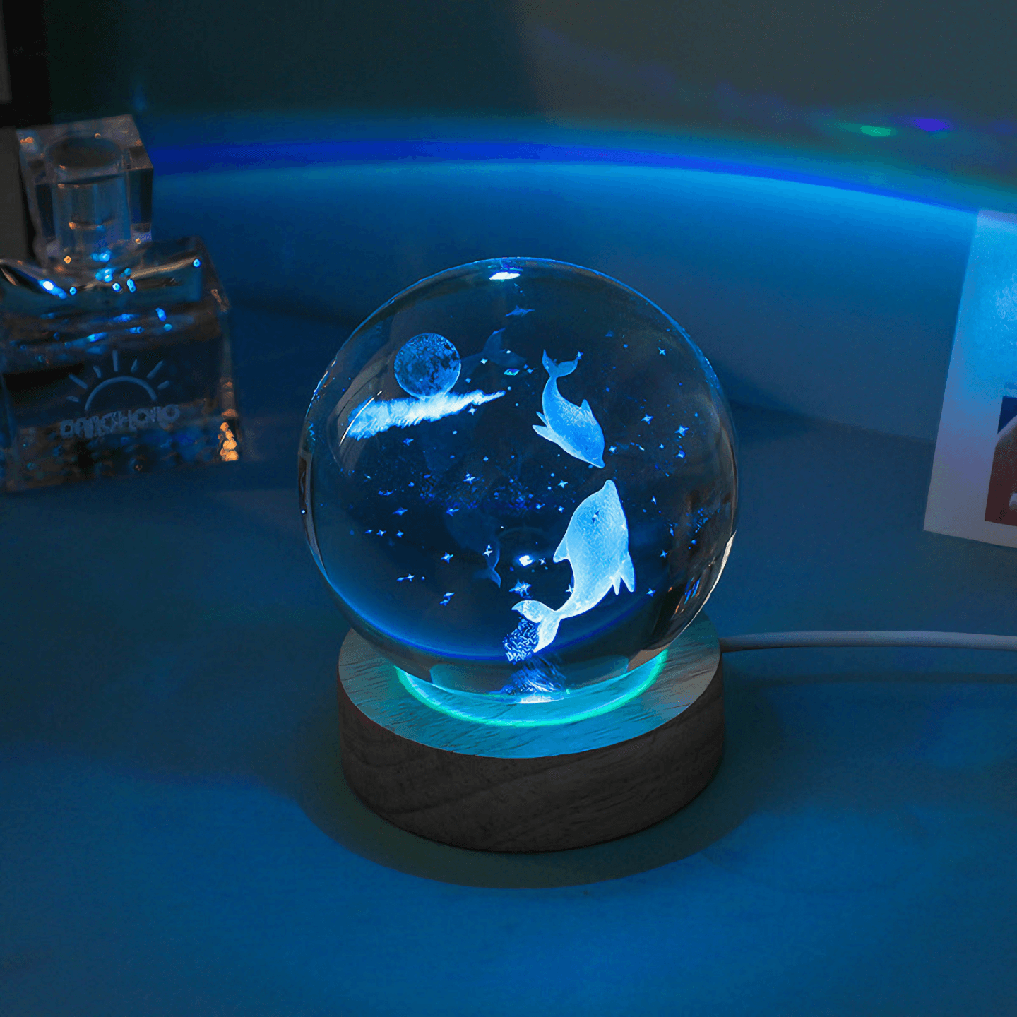 cute Underwater Life Crystal Ball Lamps - Dolphin from Light grace