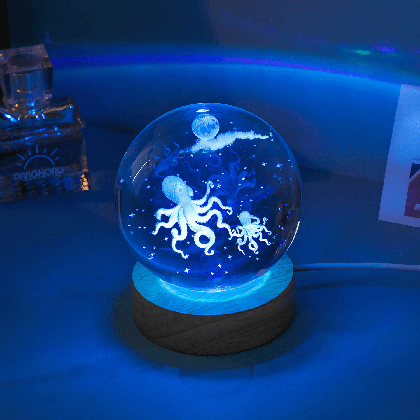 cute Underwater Life Crystal Ball Lamps - Dolphin from Light grace