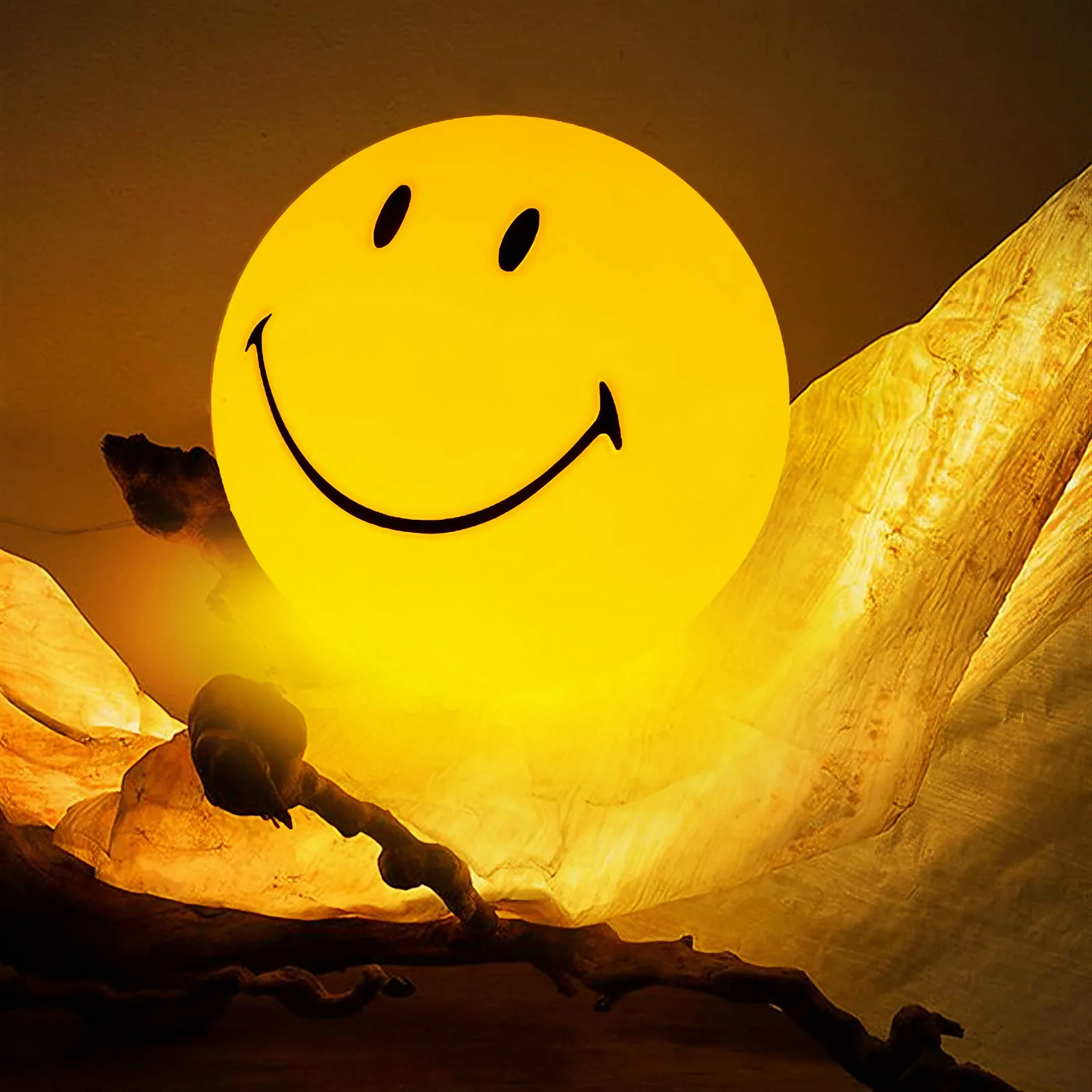 Smiley Face Led Lamp