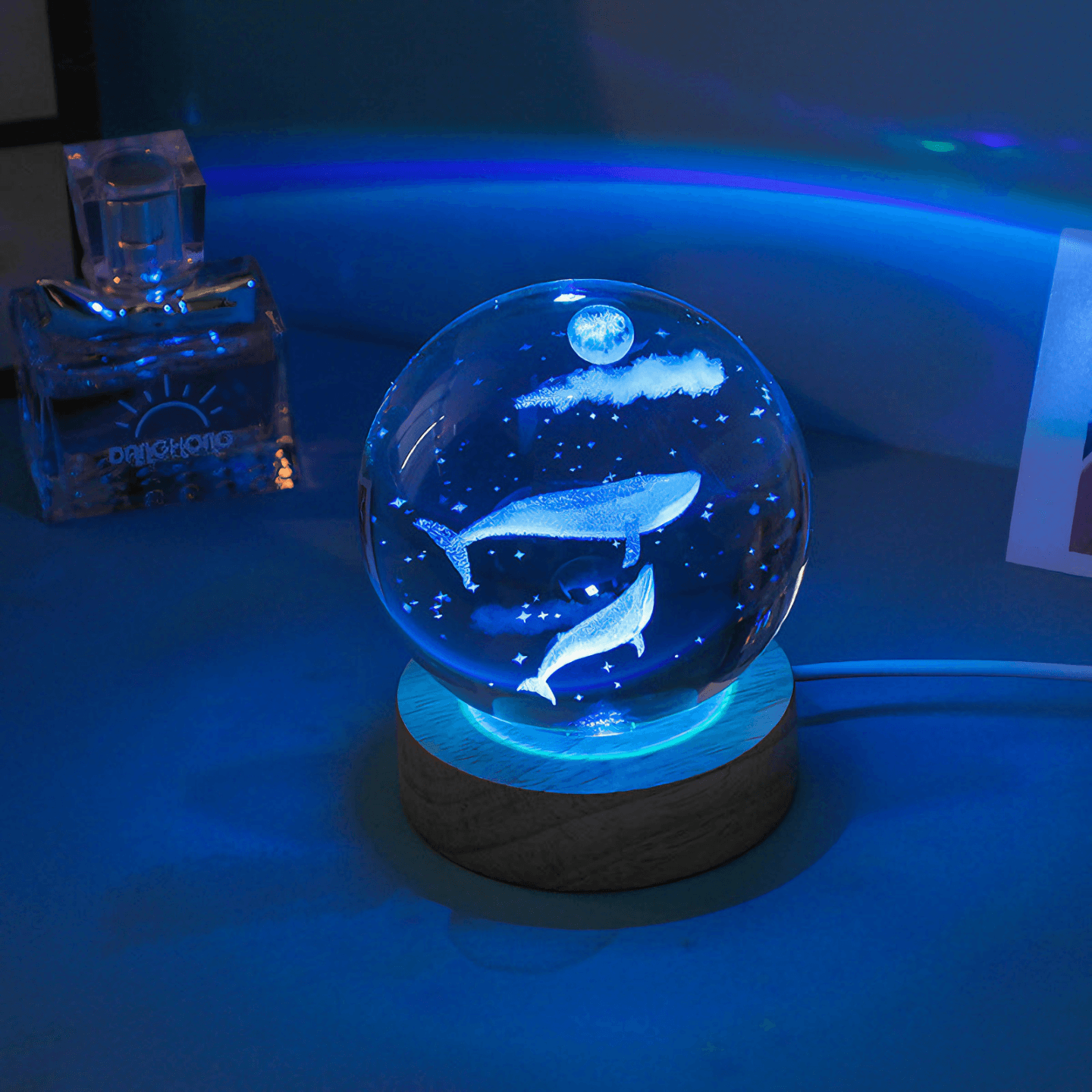 cute Underwater Life Crystal Ball Lamps - Dolphin from Light grace