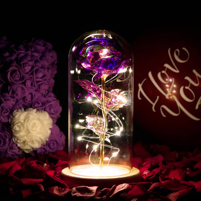 Rose Eternal Lamp