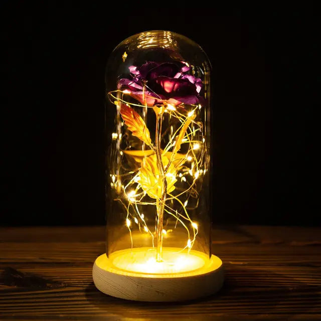 Rose Eternal Lamp 2