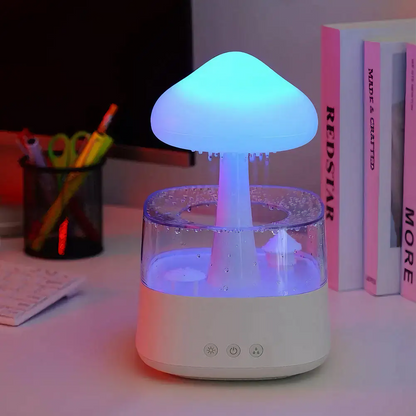 Rain Cloud Humidifier 2