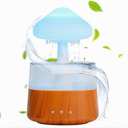 Rain Cloud Humidifier 2