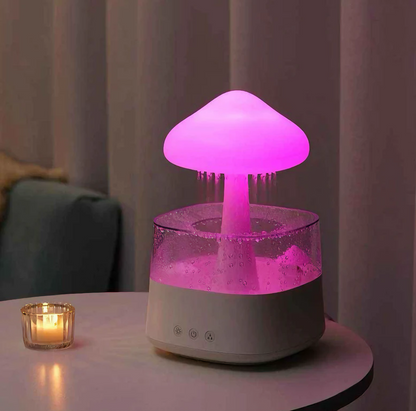 Rain Cloud Humidifier 2