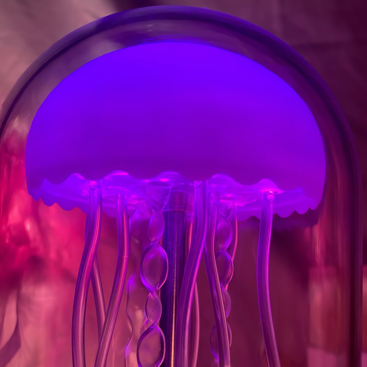 Jellyfish Speaker Lamp