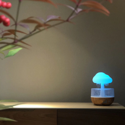 Rain Cloud Humidifier