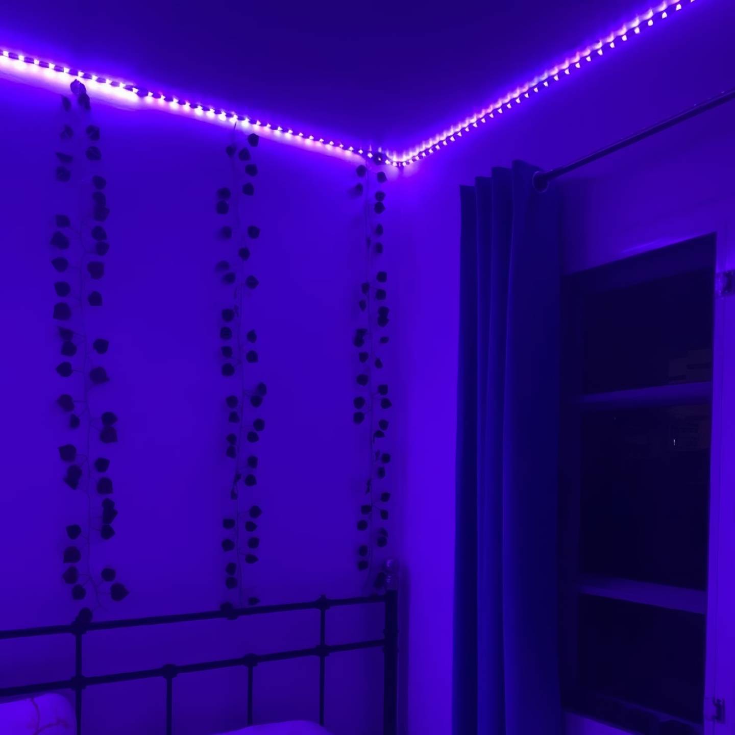 LED Strip Light