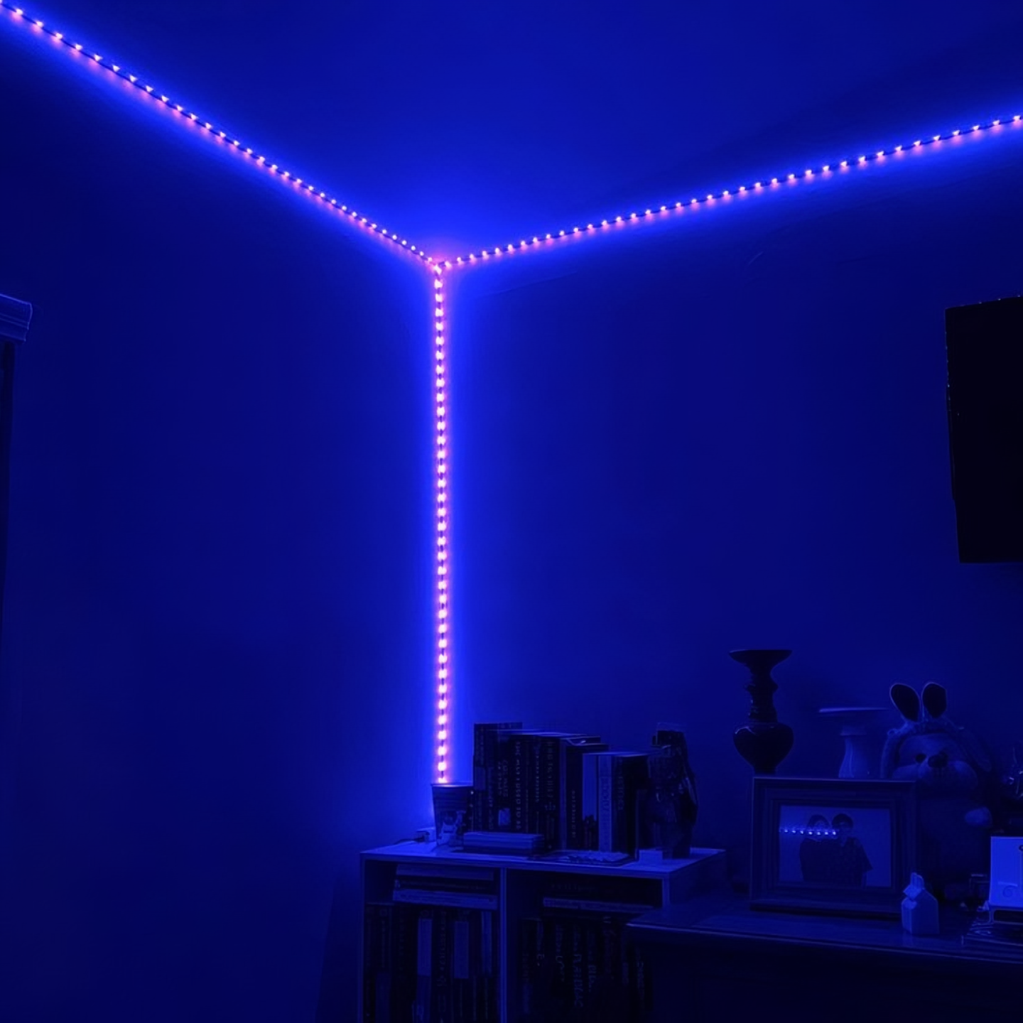 LED Strip Light