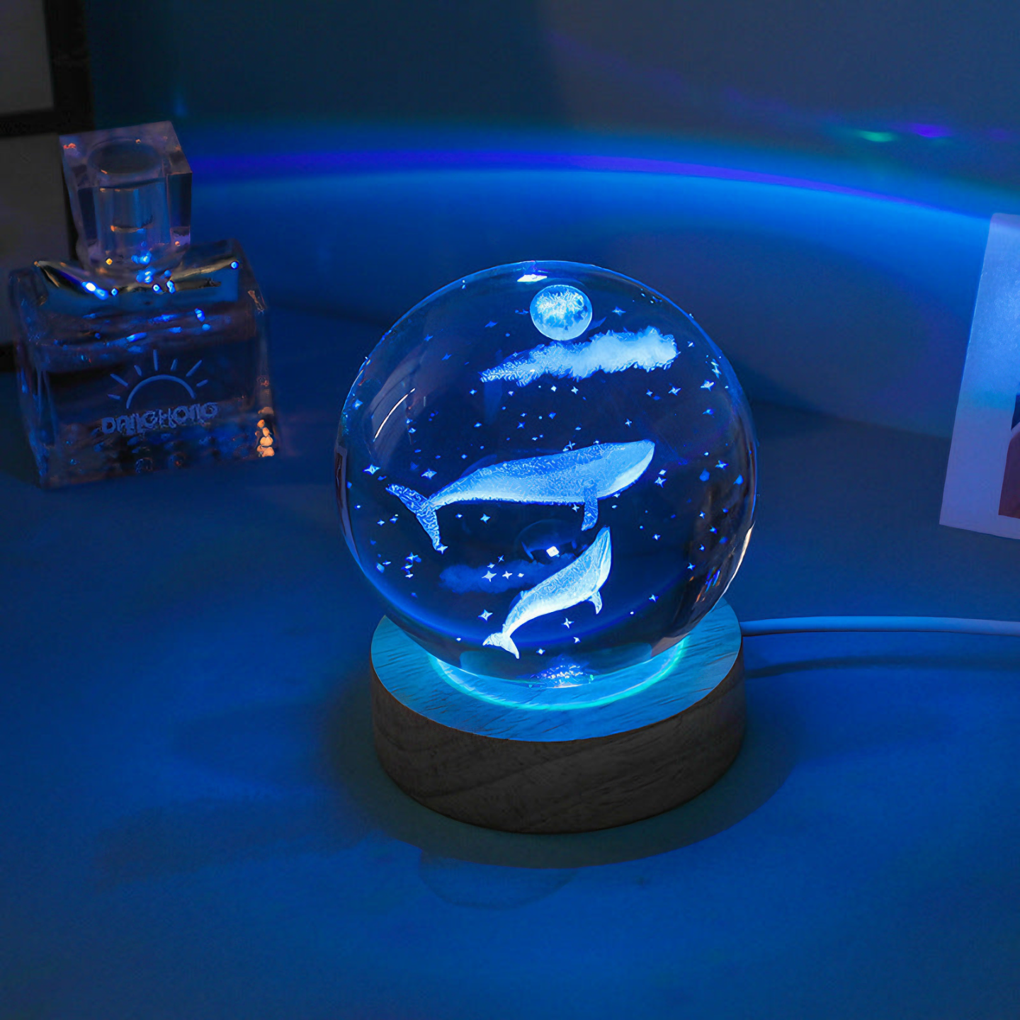 Underwater Life Crystal Ball Lamps